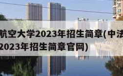 中法航空大学2023年招生简章(中法航空大学2023年招生简章官网)