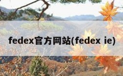 fedex官方网站(fedex ie)