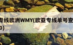 欧亚专线欧洲WMY(欧亚专线单号查询 快递100)