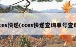 cces快递(cces快递查询单号查询)