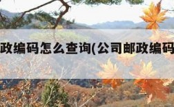 公司邮政编码怎么查询(公司邮政编码是多少啊)