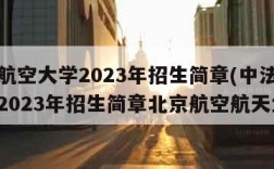 中法航空大学2023年招生简章(中法航空大学2023年招生简章北京航空航天大学)