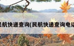 民航快递查询(民航快递查询电话)