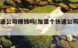 加盟快递公司赚钱吗(加盟个快递公司怎么样)