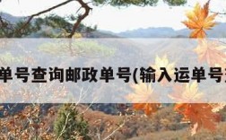 快递单号查询邮政单号(输入运单号查询)