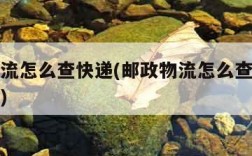 邮政物流怎么查快递(邮政物流怎么查快递的身份证)