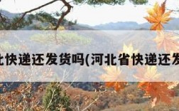 河北快递还发货吗(河北省快递还发吗)