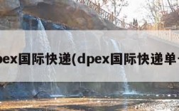 dpex国际快递(dpex国际快递单号)