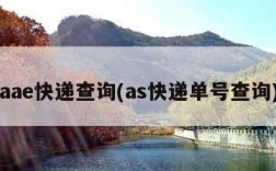 aae快递查询(as快递单号查询)