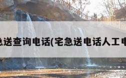 宅急送查询电话(宅急送电话人工电话)