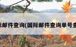 国际邮件查询(国际邮件查询单号查询)