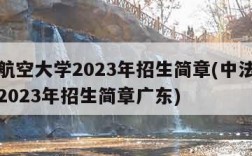 中法航空大学2023年招生简章(中法航空大学2023年招生简章广东)