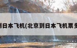 北京到日本飞机(北京到日本飞机票多少钱)