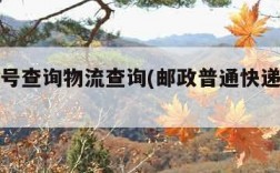 邮政单号查询物流查询(邮政普通快递单号查询)