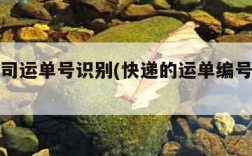 快递公司运单号识别(快递的运单编号怎么看)