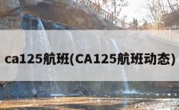 ca125航班(CA125航班动态)