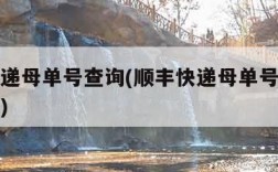 顺丰快递母单号查询(顺丰快递母单号查询官方网站)