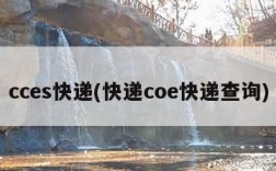 cces快递(快递coe快递查询)