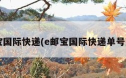 e邮宝国际快递(e邮宝国际快递单号查询)