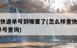 怎样查快递单号到哪里了(怎么样查快递到哪里了 单号查询)