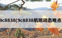 9c8838(9c8838航班动态晚点)