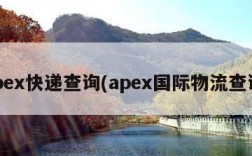 apex快递查询(apex国际物流查询)