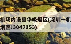 深圳一机场内设豪华吸烟区(深圳一机场内设豪华吸烟区!3047153)