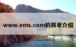 www.ems.com的简单介绍