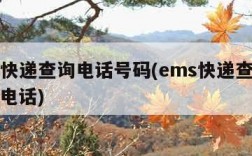 ems快递查询电话号码(ems快递查询号官网电话)