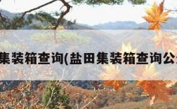 盐田集装箱查询(盐田集装箱查询公众号)